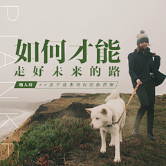 沝優采集到标题党