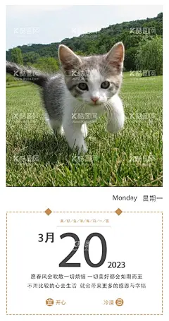 每日一签  - 源文件下载【酷图网】每日一签,日签,微信,每日微推,海报,早安,励志,小猫海报,
