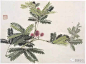 名家经典：《百花工笔画集》百幅