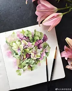 水彩--绣球花 - 高清图片，堆糖，美图壁纸兴趣社区