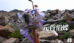 121开摆采集到灵感