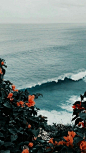 背景