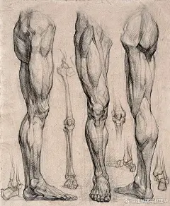 国外艺用人体结构手绘资料图 ​​​​#建华速写工作室# ​​​​