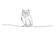 一笔画 | 图源免费EPS文件 |猫头鹰鸟，黑线绘制，白色背景上的单线条轮廓