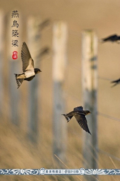 艺术大家采集到风景