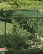20170212033614572.gif (186×233)