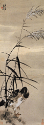张书旗(1900-1957)，原名世忠，字书旗，号南京晓庄、七炉居。室名小松山庄。浙江浦江人。曾任南京中央大学教授，抗战期间去美国创办画院，讲学作画，后定居旧金山。勤于写生，工于设色，尤善用粉，在染色的仿古宣纸上，用白粉蘸色点染，计白当黑，手法巧妙娴熟，极见生动，画风浓丽秀雅，别具一格，与徐悲鸿、柳子谷三人被称为画坛的"金陵三杰"。其作品曾被美国总统收藏。其取法于任伯年，作花鸟喜用白粉调和色墨，画面典雅明丽，颇具现代感。又得高剑父与吕凤子亲授，形成色、粉与笔墨兼施的清新流丽画风而独标一