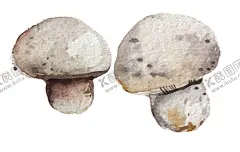 水墨 【酷图网】水墨,水墨圈,古风,水彩,手绘,晕染,泼墨,圆环,圆圈,大气,效果,装饰,装饰图案,素材图,海报背景,背景,图案,淘宝背景,免扣,边框,花簇,绿色,花框,素材,元素,底纹,文化,图片,传承,中国风,节气,小元素,绿色水墨