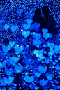 blue romance | Blue