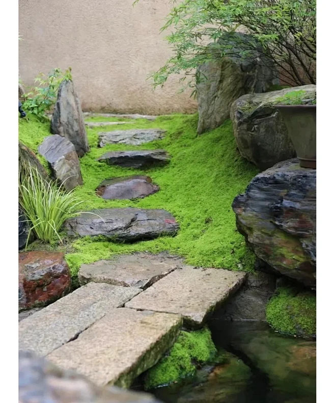 日式禅意庭院～杭州别墅庭院设计-花瓣网