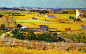 梵高作品欣赏《收割中的田园风景》<br/>1888年 ，画布，油彩，73厘米X92厘米，阿姆斯特丹国立梵高博物馆。