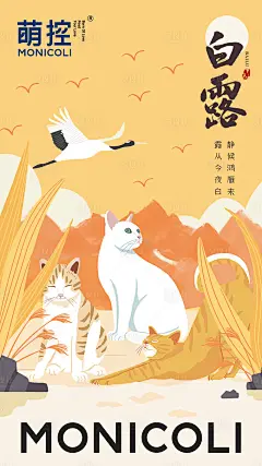 宠物猫白露节气海报-源文件