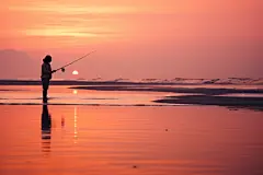 海面赶海人物摄影图