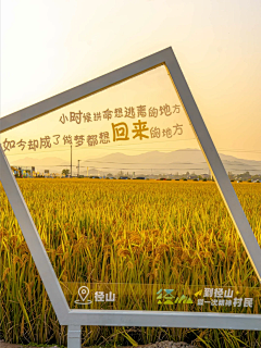 木祈采集到活动
