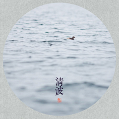 简烨磊采集到城市