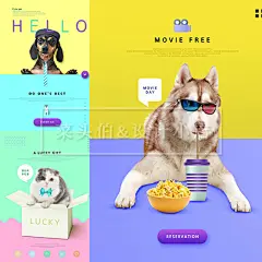 超赞创意多彩宠物狗宠物猫柯基哈士奇PSD海报源文件平面设计素材-淘宝网