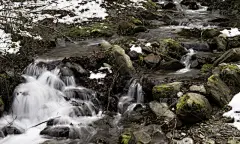 肥皂泡,河流,水,平视角,夏天,明亮,白色,光,闪亮的,草地