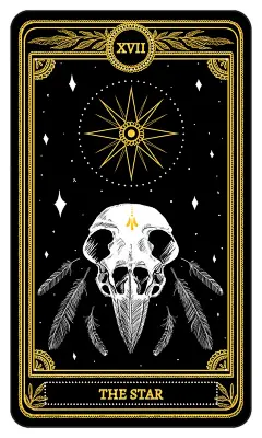 嗨，我是amrit brar  - 万寿菊塔罗牌主要至宝：明星，... ... #tarotcardstips