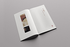 Jan不是设计师采集到画册折页