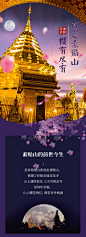 懒猫旅行 清迈夜游双龙寺 素贴山皇宫樱花夜间动物园 泰国一日游 - 飞猪