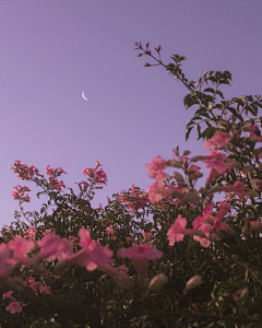 思维宅♥采集到唯有花和甜不能辜负