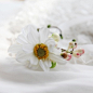 赴一场梦中的婚礼：清新的森系庄园婚礼除了美丽的婚纱外，配饰也非常重要 |我在 @暖岛网 发现了花朵浆果手环（白色），分享给大家。