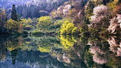 囧當當采集到风景