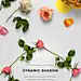 Flower Edition Vol. 1 - Custom Scene - Objects - 2