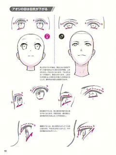 涡来守狐采集到眼