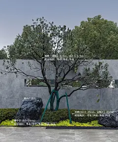 植物配置实景 (52)