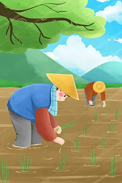 创意素材305839_谷雨插秧耕种的农民