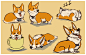 corgi by *SilverDeni on deviantART