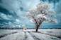 Magical landscapes. Infrared. Poland on Behance