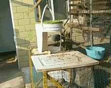 43500f83832844ce908b76c0254d4410采集到D-gif