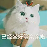 聊天斗图、表情包、情侣专用、已经做好等亲亲啦