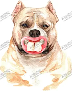 水彩绘画可爱小狗 【酷图网】水彩绘画,涂鸦,呆萌可爱,小动物,狗,犬,创意绘画,图案设计,表情包,外国犬头像,田园犬,博士帽,帽子,装饰画,墨镜