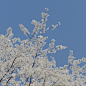 春暖花开日，人间重逢时。 - 刘知著_ - CNU视觉联盟