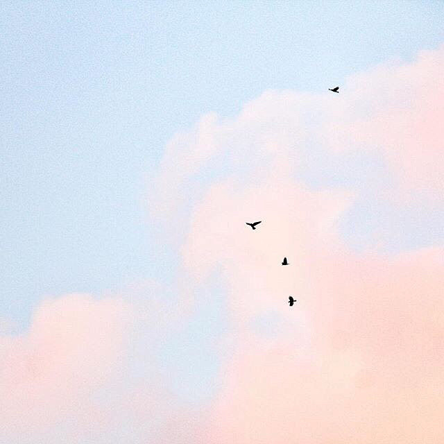 来自相册