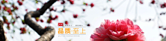 八十岁の少女采集到原创网站和banner