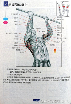 细嚼慢咽采集到养生保健