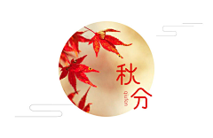 小L_木木爷采集到图配文
