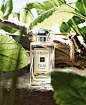 Jo Malone™ Wood Sage  Sea Salt Cologne- my absolute favorite scent luxury beauty products - http://amzn.to/2hu7dbB