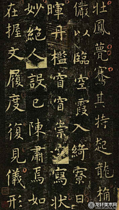 小毛驴a采集到插画艺术