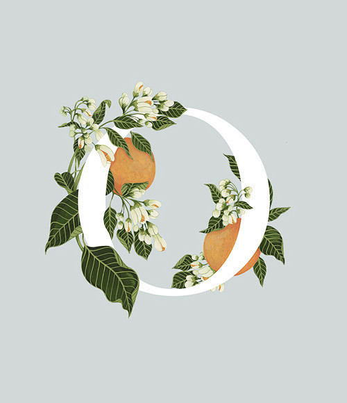 An A-Z of Edible Flo...
