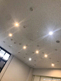 ✨日本·筑波大学 | 楼道的星光✨
在狭小的空间内，分享给你四季星光。日本理工科顶级学府的浪漫[酸][酸][酸]

（twi：ITF_biol18） ​​​​