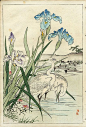 I like the irises and the placement of the heron amidst them. Bairei Kono - Iris and Heron 1889