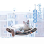 美国KH吸盘吊床猫抓板磨爪器耐磨爪瓦楞纸猫咪玩具猫薄荷宠物用品-淘宝网