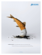 Surfrider Foundation Print Ad - Snuffed Out Marine Life, 3