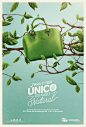 Unicentro Marzo - Feria de la Ecología : Campaña gráfica desarrollada en el mes de marzo, el mes de la ecología y la naturaleza, en el Centro Comercial Unicentro Medellín.