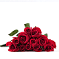 胡须先生鲜花速递玫瑰花礼盒 红玫瑰11枝盒装鲜花 包邮